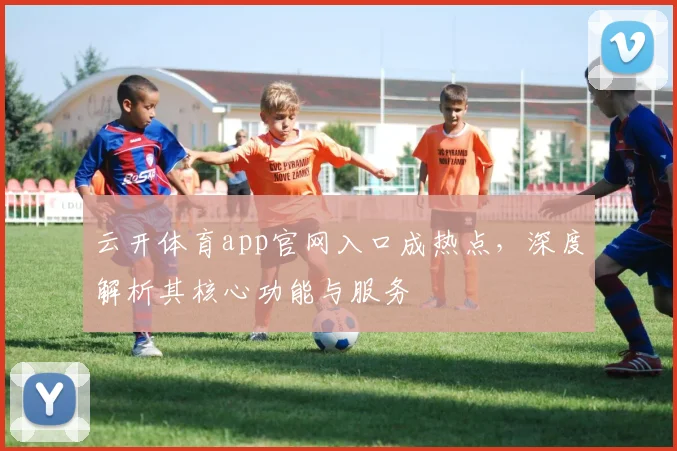 云开体育app官网入口成热点,深度解析其核心功能与服务