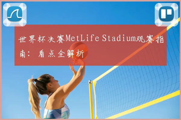 世界杯决赛MetLife Stadium观赛指南：看点全解析