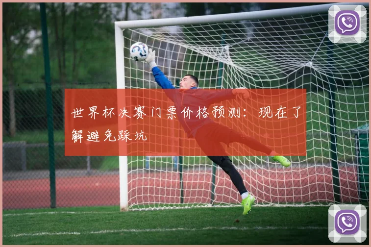 世界杯决赛门票价格预测：现在了解避免踩坑